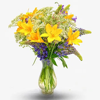 United Kingdom flowers  -  Bouquet of yellow flowers Delivery