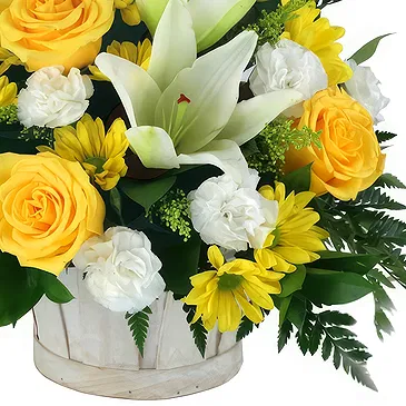 Luganville Blumen Florist- Trauergesteck aus gelben Rosen und weißen Bouquet/Blumenschmuck