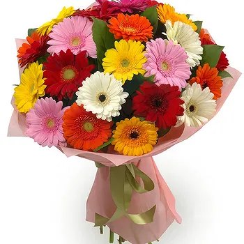 United Kingdom flowers  -  Bouquet of multi-coloured gerberas Flower Delivery