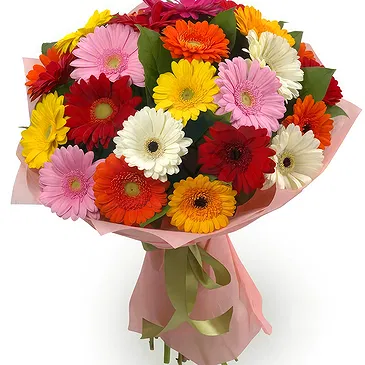 Oman flowers  -  Bouquet of multi-coloured gerberas Flower Bouquet/Arrangement