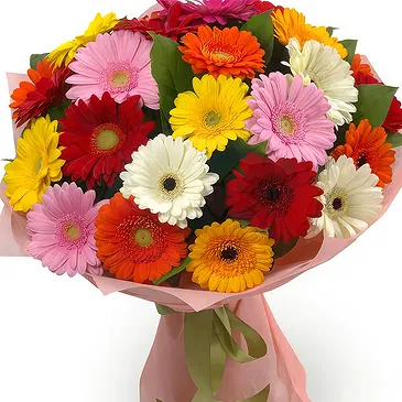 Oman flowers  -  Bouquet of multi-coloured gerberas Flower Bouquet/Arrangement
