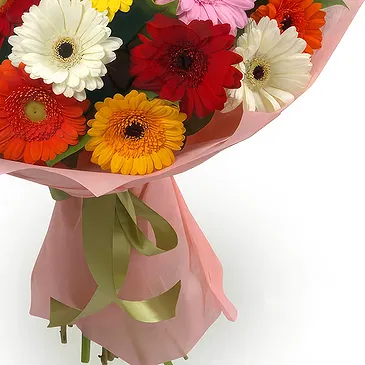Oman flowers  -  Bouquet of multi-coloured gerberas Flower Bouquet/Arrangement