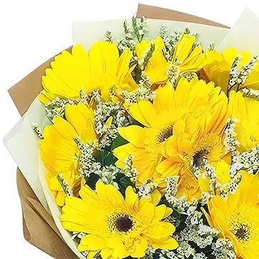 North Post flowers  -  Bouquet of yellow gerberas Flower Bouquet/Arrangement