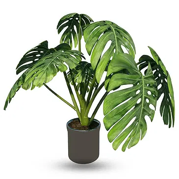 Birmingham flowers  -  Monstera Flower Bouquet/Arrangement