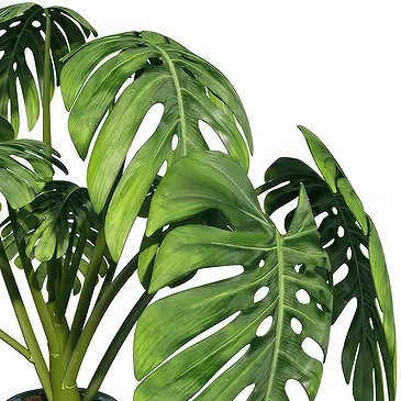 Birmingham flowers  -  Monstera Flower Bouquet/Arrangement