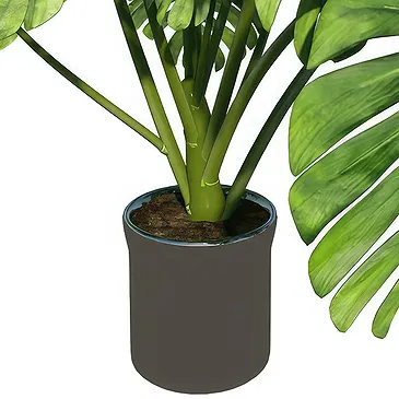 Birmingham flowers  -  Monstera Flower Bouquet/Arrangement
