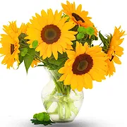 St. Maarten online Florist - Sunflowers in Vase Bouquet
