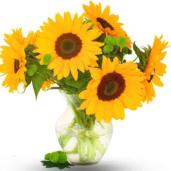 United Kingdom flowers  -  Sunflowers in Vase Delivery