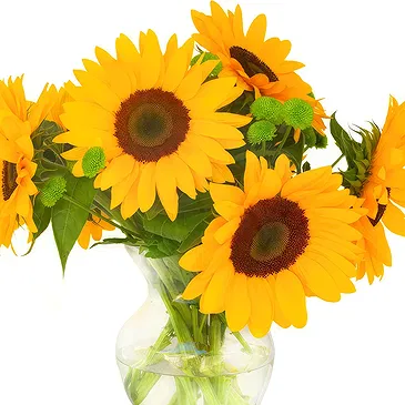 Oman flowers  -  Sunflowers in Vase Flower Bouquet/Arrangement