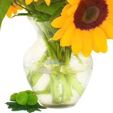 Oman flowers  -  Sunflowers in Vase Flower Bouquet/Arrangement