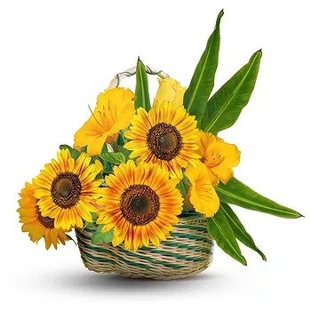 United Kingdom flowers  -  Basket of sunflowers and yellow flowers Delivery