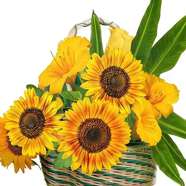 fleuriste fleurs de Thoricourt- Panier de tournesols et de fleurs jaunes Bouquet/Arrangement floral