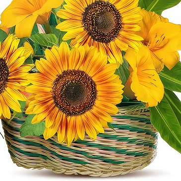 fleuriste fleurs de Thoricourt- Panier de tournesols et de fleurs jaunes Bouquet/Arrangement floral