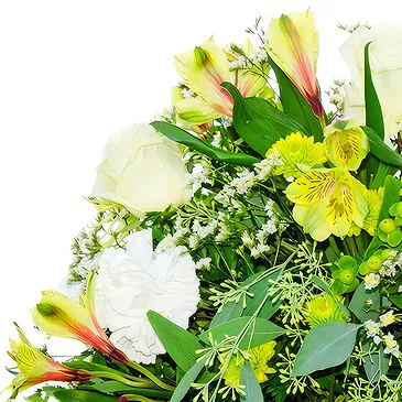 Villsharad blomster- Begravelse hvid buket Blomst buket/Arrangement