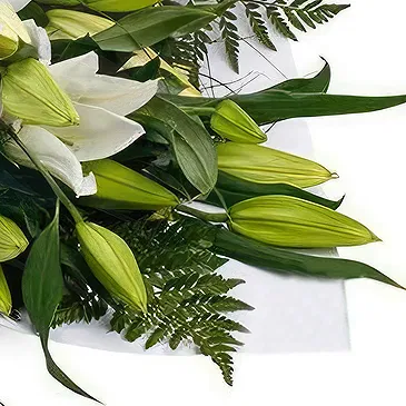 Koinge blomster- Begravelsesbuket af hvide liljer Blomst buket/Arrangement