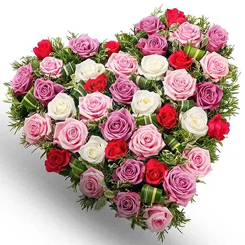 Ayer Puteh blomster- Begravelseshjerte af blandede roser Blomst Levering