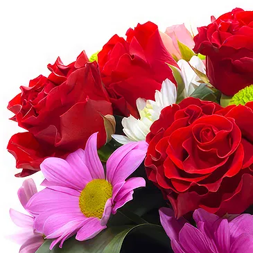 Oman flowers  -  Basket of red roses and purple flowers Flower Bouquet/Arrangement