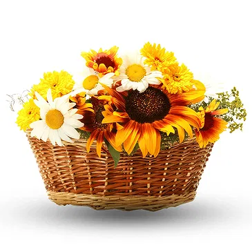 Oman flowers  -  Basket of sunflowers Flower Bouquet/Arrangement