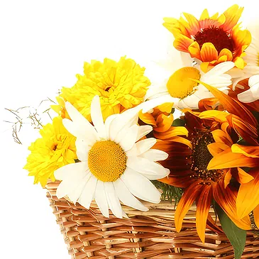 Oman flowers  -  Basket of sunflowers Flower Bouquet/Arrangement