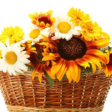 Oman flowers  -  Basket of sunflowers Flower Bouquet/Arrangement