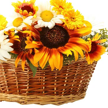 Oman flowers  -  Basket of sunflowers Flower Bouquet/Arrangement