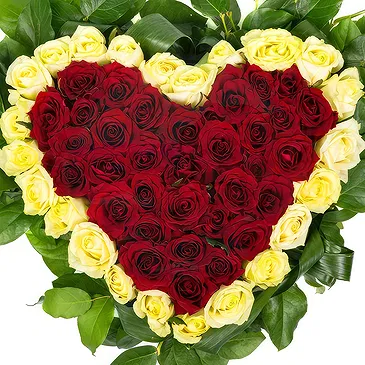 Oman flowers  -  Heart of Red and white Roses Flower Bouquet/Arrangement