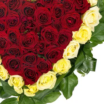 Oman flowers  -  Heart of Red and white Roses Flower Bouquet/Arrangement