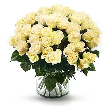 United Kingdom flowers  -  Bouquet of 50 White Roses Flower Delivery