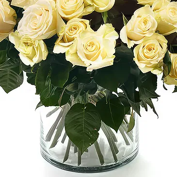 Oman flowers  -  Bouquet of 50 White Roses Flower Bouquet/Arrangement