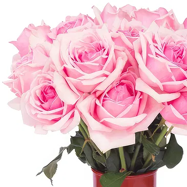 flores Imbonggu floristeria -  Ramo de rosas rosas con bombones osito de pel Ramo de flores/arreglo floral