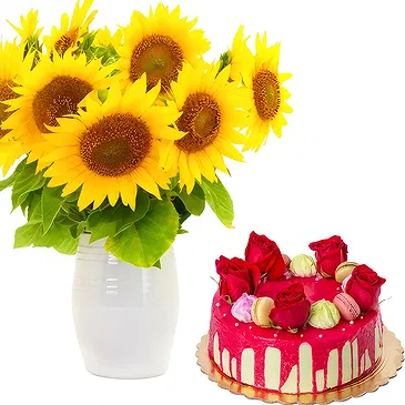 Samba Caju flowers  -  Arrangement of sunflowers with modern cake Flower Bouquet/Arrangement