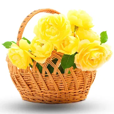 Ellos blommor- Korg med gula rosor Bukett/blomsterarrangemang