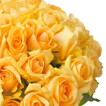 Dvorjane Blumen Florist- Strauß mit 50 gelben Rosen Bouquet/Blumenschmuck