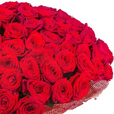 Oman flowers  -  Bunch of 200 red roses Flower Bouquet/Arrangement
