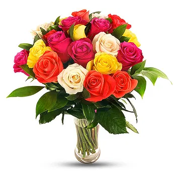 United Kingdom flowers  -  Bouquet of 24 mixed color roses Flower Delivery