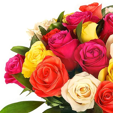 Oman flowers  -  Bouquet of 24 mixed color roses Flower Bouquet/Arrangement