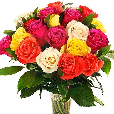 Oman flowers  -  Bouquet of 24 mixed color roses Flower Bouquet/Arrangement