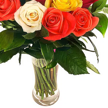 Oman flowers  -  Bouquet of 24 mixed color roses Flower Bouquet/Arrangement