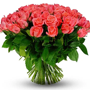 Oman flowers  -  Bouquet of 100 pink roses Flower Bouquet/Arrangement