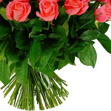Oman flowers  -  Bouquet of 100 pink roses Flower Bouquet/Arrangement