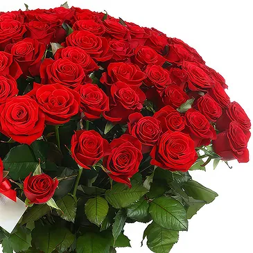 Dubai Marina flowers  -  Bunch of 100 red roses Flower Bouquet/Arrangement