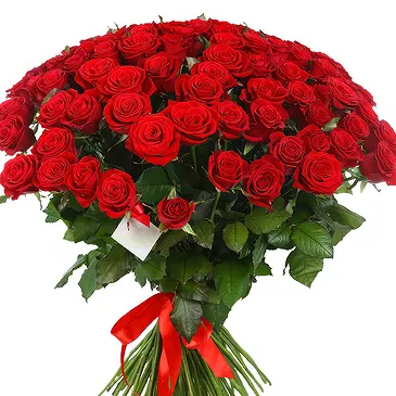 Dubai Marina flowers  -  Bunch of 100 red roses Flower Bouquet/Arrangement