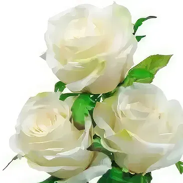 fiorista fiori di Santa Lucija- 3 Rose Bianche Bouquet floreale