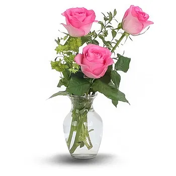 United Kingdom flowers  -  3 Pink Roses Flower Delivery