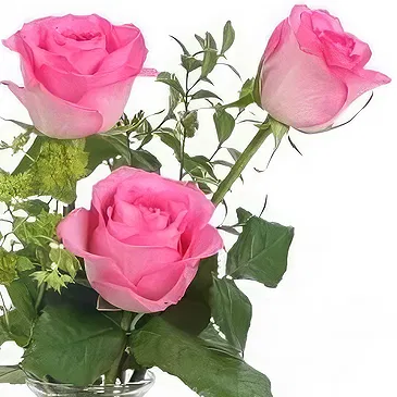 Zaldu flowers  -  3 Pink Roses Flower Bouquet/Arrangement