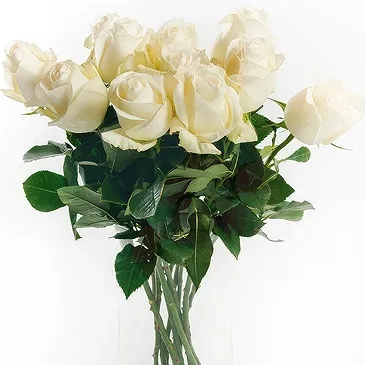 Mattersburg flowers  -  9 White Roses Flower Bouquet/Arrangement