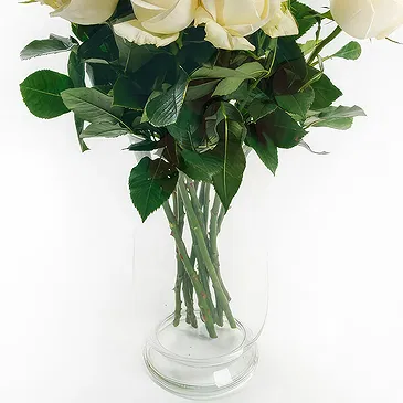 Mattersburg flowers  -  9 White Roses Flower Bouquet/Arrangement