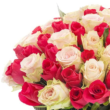 Oman flowers  -  Bouquet of 50 mixed Pink and Red Roses Flower Bouquet/Arrangement