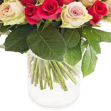 Oman flowers  -  Bouquet of 50 mixed Pink and Red Roses Flower Bouquet/Arrangement