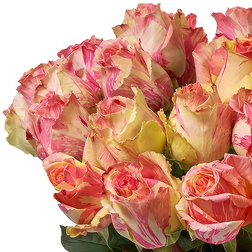 Doppel flowers  -  24 Peach Roses Flower Bouquet/Arrangement